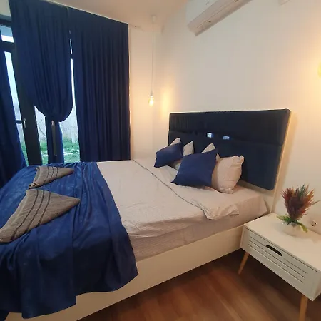 Captain Niko 布尔加斯