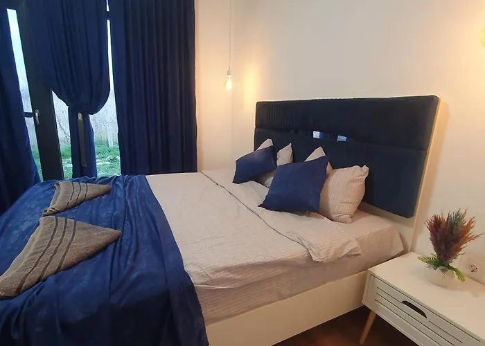 Captain Niko Μπουργκάς